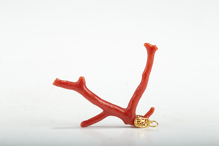 古玩雜項當代·珊瑚隨型吊墜真品鑒賞圖