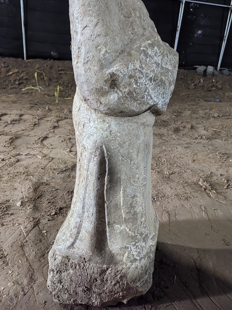 古玩雜項(xiàng)侍女真品鑒賞圖