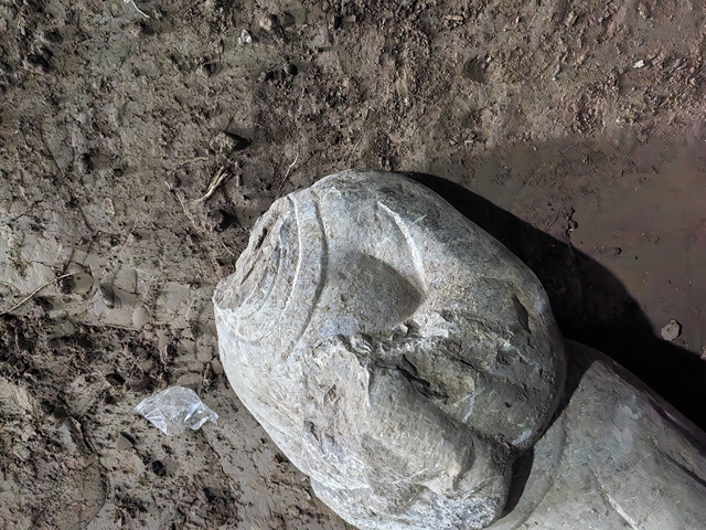 古玩雜項(xiàng)侍女真品鑒賞圖