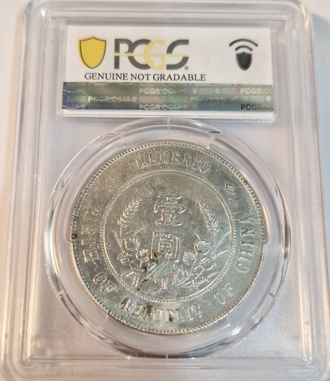 古玩錢幣孫中山像壹圓真品鑒賞圖