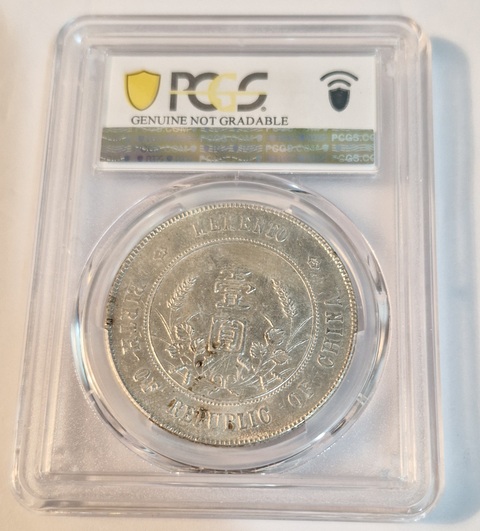 古玩錢幣孫中山像壹圓真品鑒賞圖