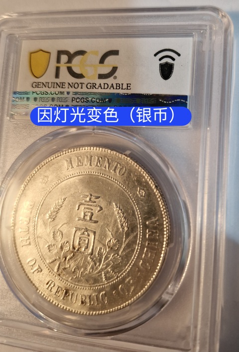 古玩錢幣孫中山像壹圓真品鑒賞圖