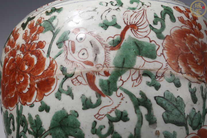 古玩陶瓷花間獅子紋紅綠彩罐真品鑒賞圖