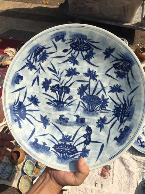 古玩陶瓷蓮池游禽滿池嬌青花盤真品鑒賞圖