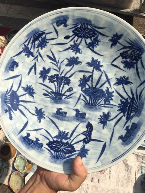 古玩陶瓷蓮池游禽滿池嬌青花盤真品鑒賞圖