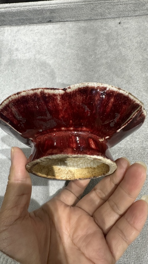 古玩陶瓷紅釉海棠貢盤真品鑒賞圖