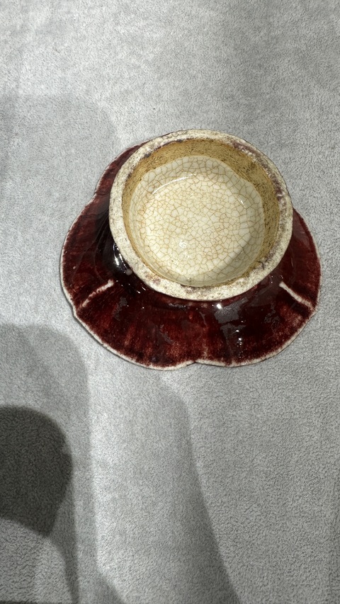 古玩陶瓷紅釉海棠貢盤真品鑒賞圖