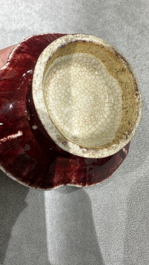 古玩陶瓷紅釉海棠貢盤真品鑒賞圖