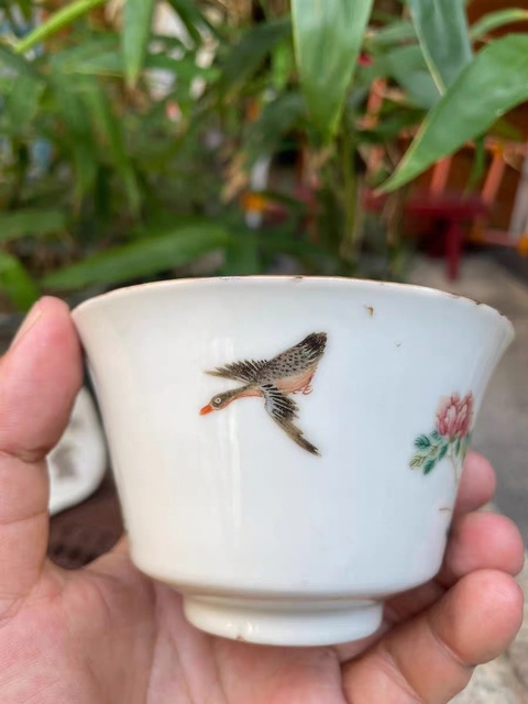 古玩陶瓷粉彩蘆雁圖杯真品鑒賞圖