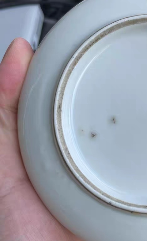 古玩陶瓷白釉洗真品鑒賞圖