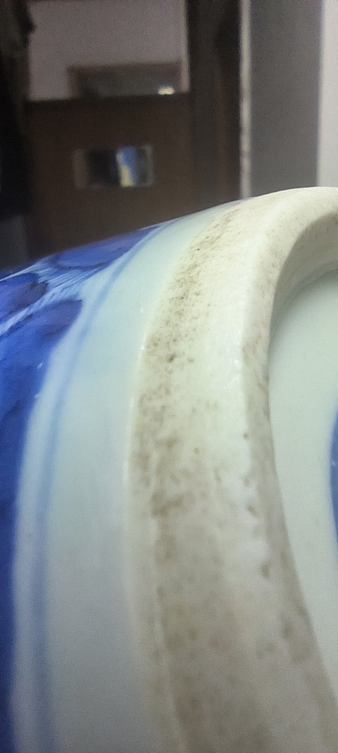 古玩陶瓷青花冰梅圖蓋罐真品鑒賞圖