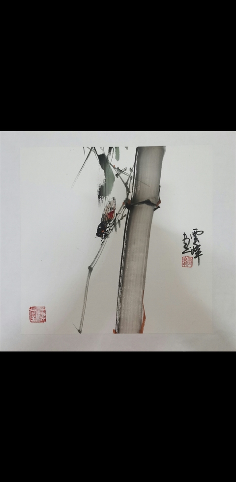 古玩字畫嶺南畫派第三代繼承人盧宏英（云峰 ）竹蟬圖拍賣，當前價格1288元
