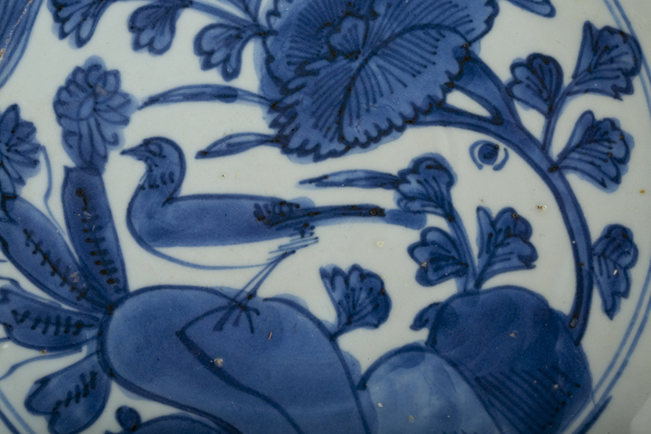 古玩陶瓷明萬歷·青花花鳥紋花口盤真品鑒賞圖