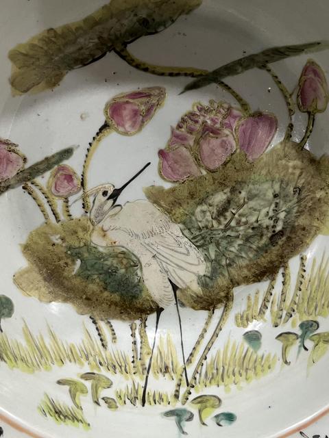 古玩陶瓷粉彩一路連科紋折沿盆真品鑒賞圖