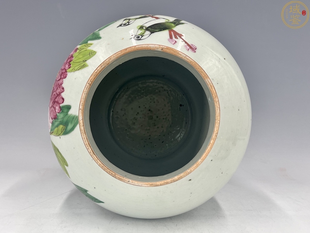 古玩陶瓷清晚期淺絳彩名家作“富貴白頭”將軍罐真品鑒賞圖