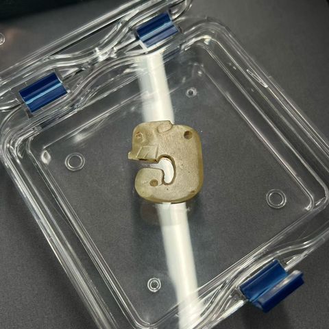 古玩玉器仿古玉龍真品鑒賞圖