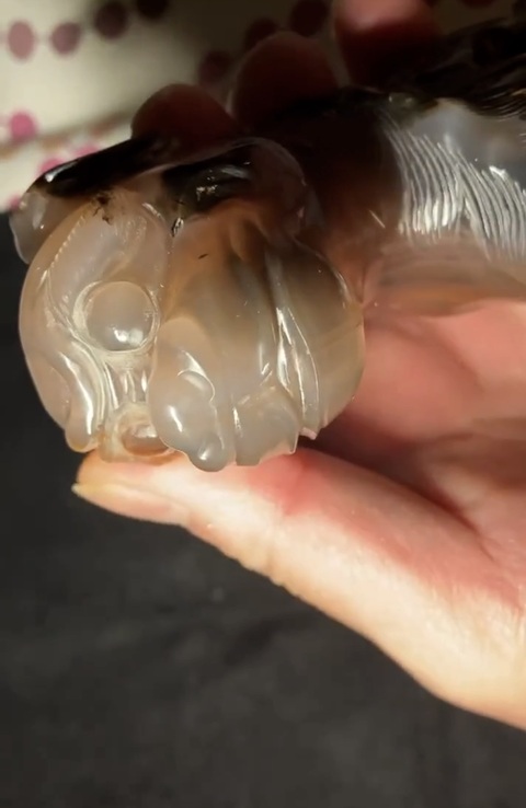 古玩玉器仿古瑪瑙瑞獸真品鑒賞圖