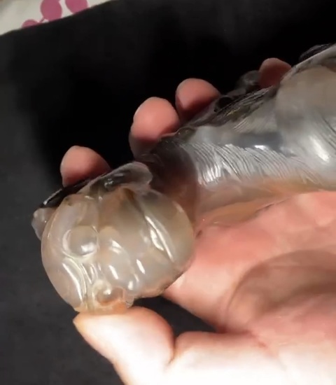 古玩玉器仿古瑪瑙瑞獸真品鑒賞圖