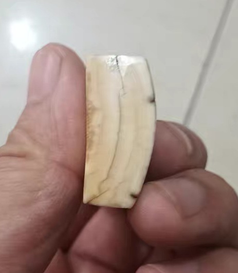 古玩雜項牙牌真品鑒賞圖