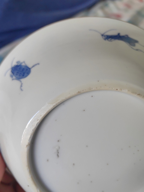 古玩陶瓷青花花卉草蟲碗真品鑒賞圖