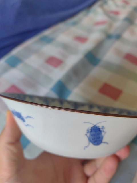 古玩陶瓷青花花卉草蟲碗真品鑒賞圖
