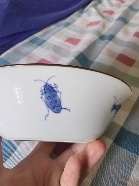 古玩陶瓷青花花卉草蟲碗真品鑒賞圖