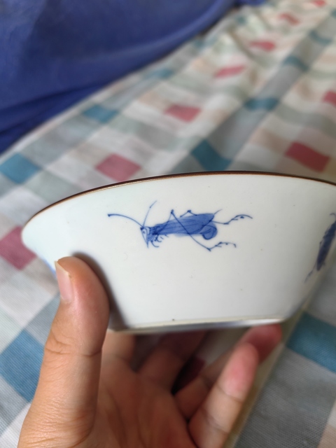 古玩陶瓷青花花卉草蟲碗真品鑒賞圖