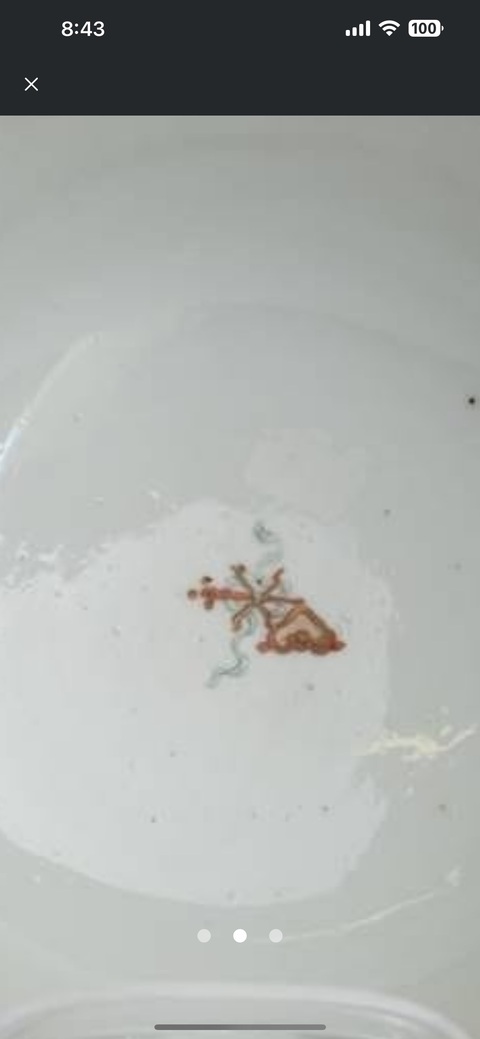 古玩陶瓷歲朝清供粉彩碗真品鑒賞圖