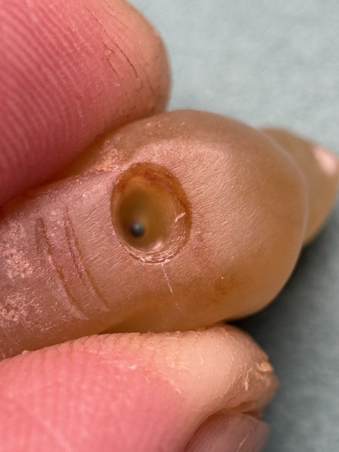 古玩玉器東漢黃玉紅沁鴿子真品鑒賞圖