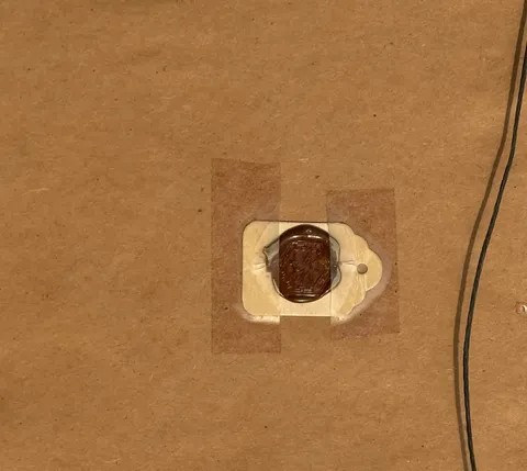 古玩字畫謝家池館近滄波真品鑒賞圖