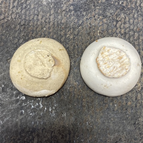 古玩陶瓷白釉小酒盅真品鑒賞圖