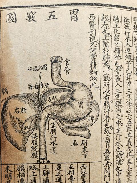 古玩字畫中西匯真品鑒賞圖