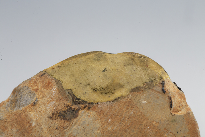 古玩陶瓷明以前·醬釉龜形鎮(zhèn)真品鑒賞圖