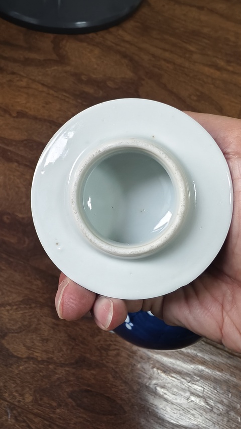 古玩陶瓷青花留白冰梅雞腿瓶真品鑒賞圖