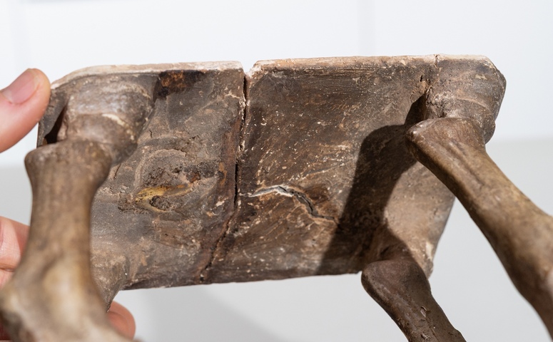 古玩陶瓷唐代三彩馬真品鑒賞圖