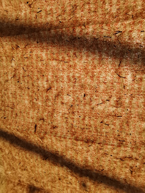 古玩字畫朱砂滿文橫披真品鑒賞圖