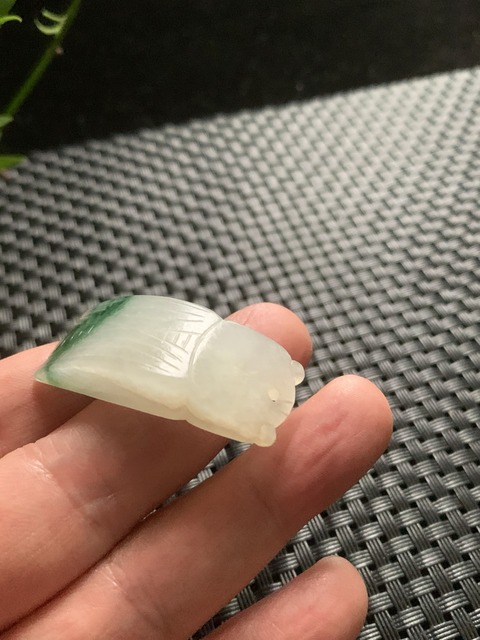 古玩玉器翡翠雕“蟬形墜”真品鑒賞圖