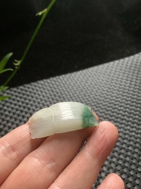 古玩玉器翡翠雕“蟬形墜”真品鑒賞圖