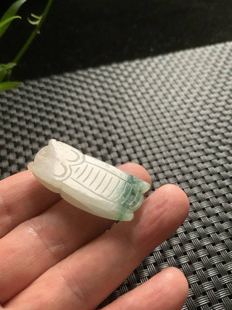 古玩玉器翡翠雕“蟬形墜”真品鑒賞圖