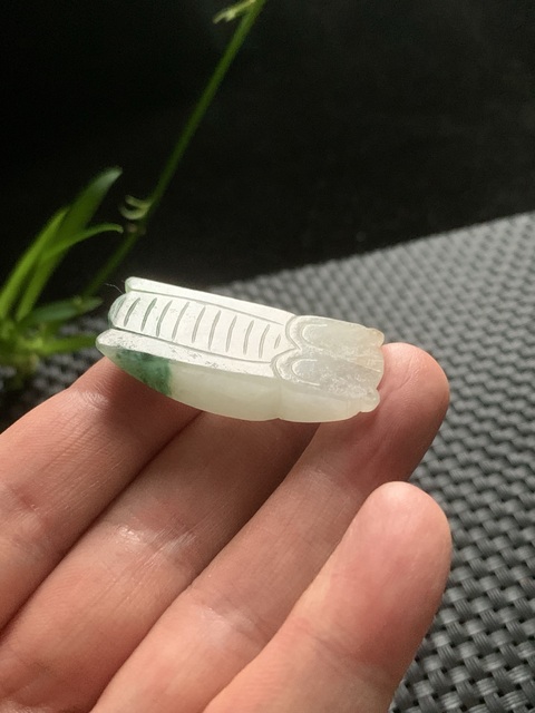 古玩玉器翡翠雕“蟬形墜”真品鑒賞圖