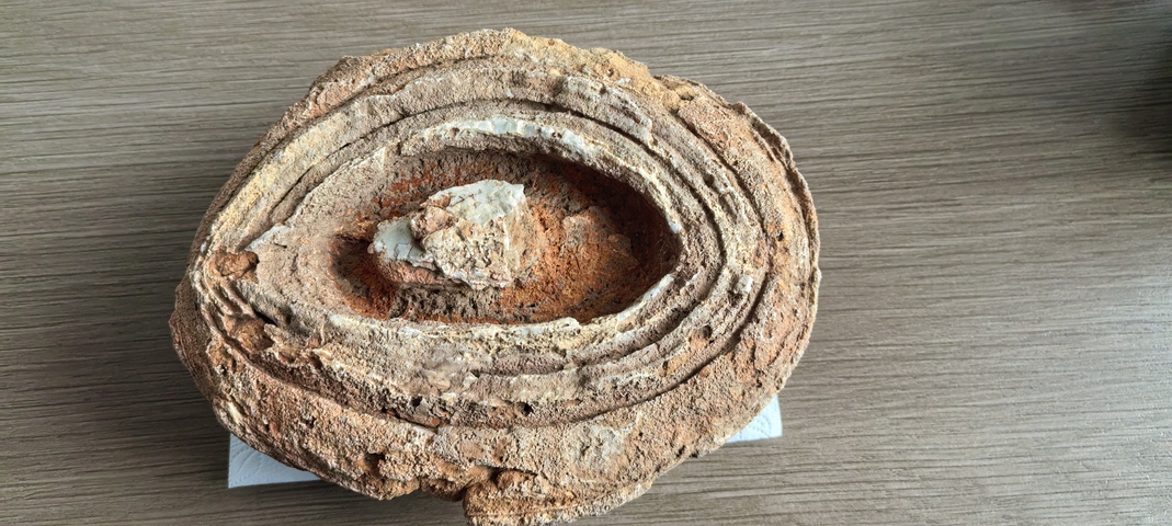 古玩雜項石核真品鑒賞圖