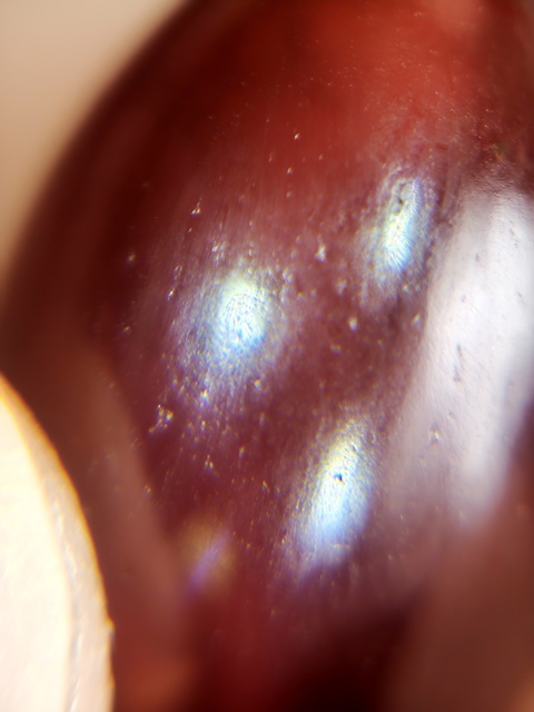 古玩雜項橄欖瑪瑙珠子真品鑒賞圖