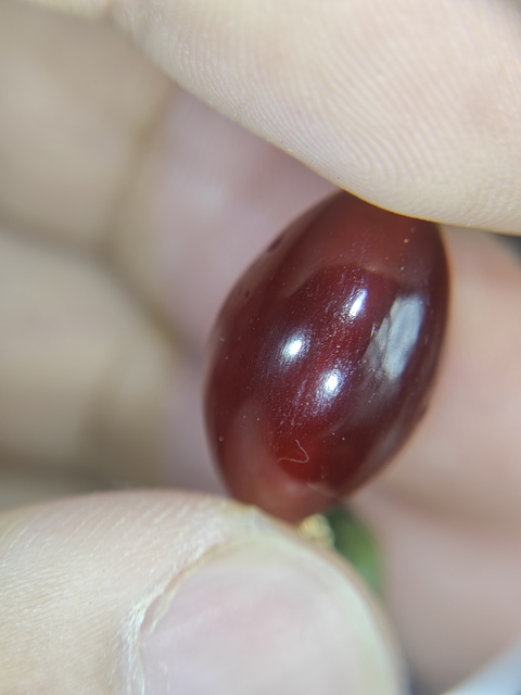 古玩雜項橄欖瑪瑙珠子真品鑒賞圖