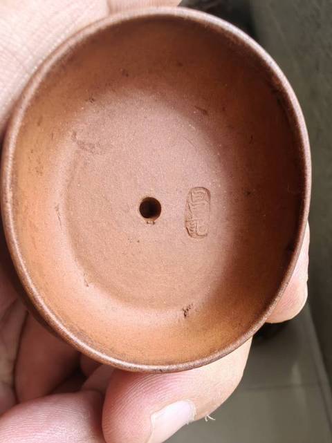 古玩雜項紫砂壺真品鑒賞圖