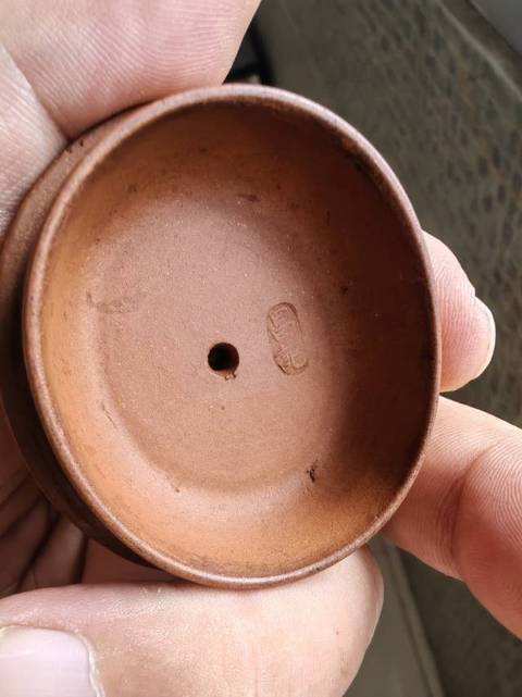 古玩雜項紫砂壺真品鑒賞圖