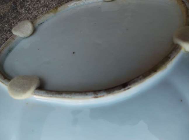 古玩陶瓷粉彩無雙譜海棠高足盤真品鑒賞圖