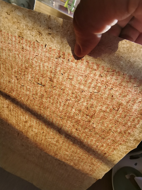 古玩字畫朱砂滿文橫披真品鑒賞圖