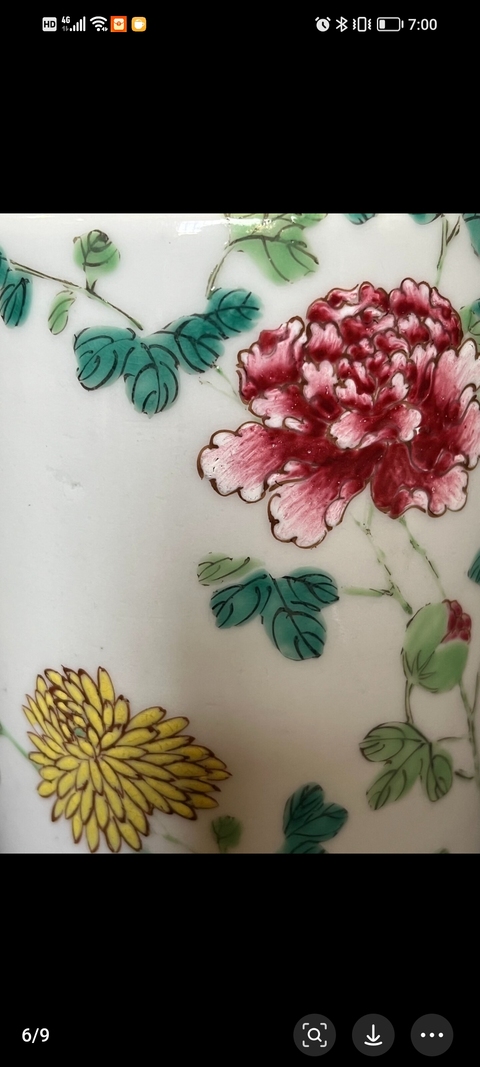 古玩陶瓷粉彩花鳥花卉紋瓶真品鑒賞圖