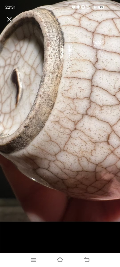 古玩陶瓷哥釉鐵骨泥花卉紋水盂真品鑒賞圖