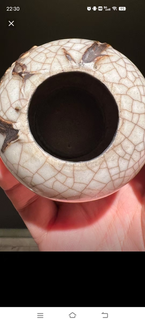 古玩陶瓷哥釉鐵骨泥花卉紋水盂真品鑒賞圖